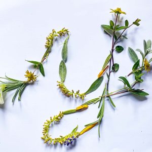 Pflanzen Alphabet, Natürliches Lettering, Kleinbuchstabe y von Marianne-Naturgesflüster