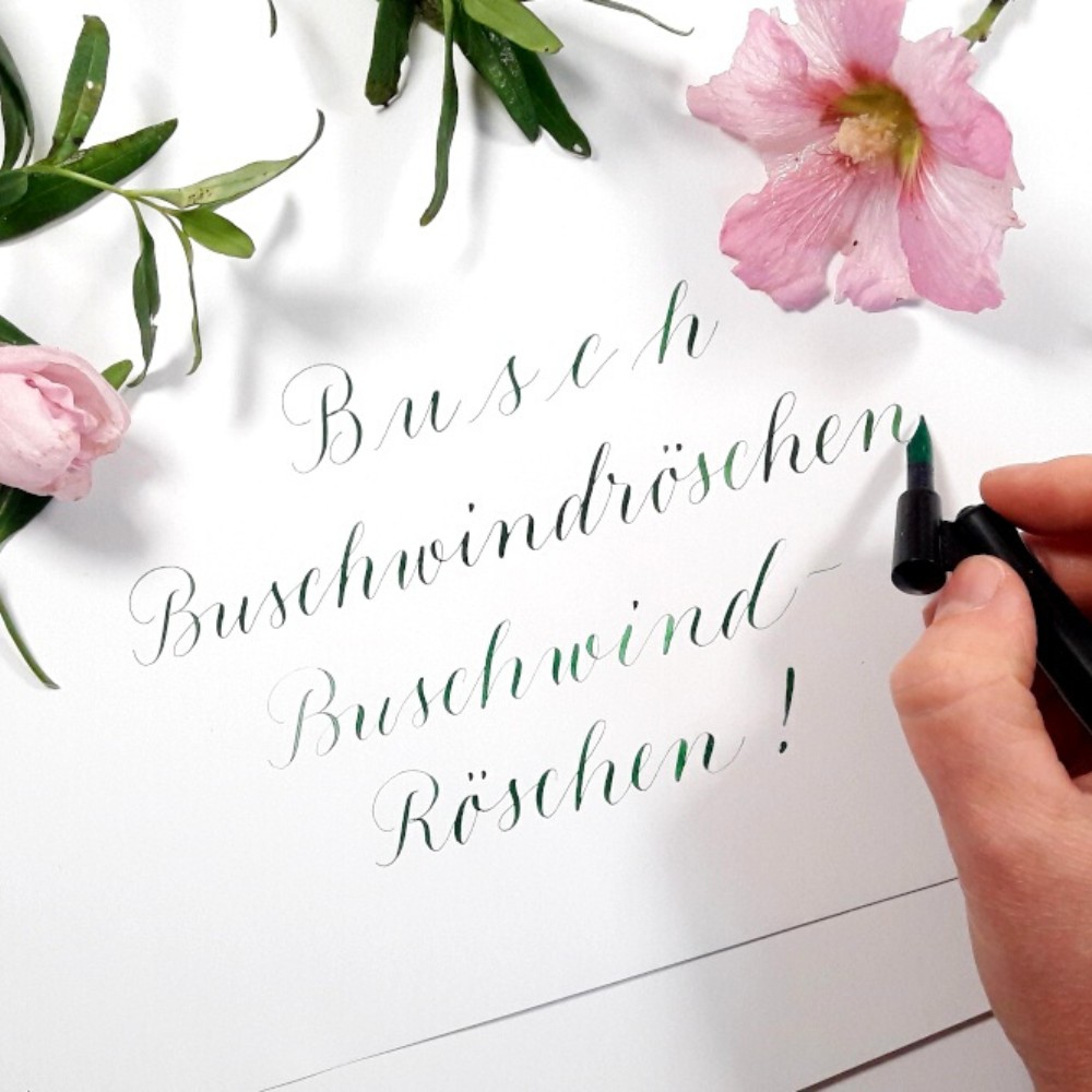 Moderne Kalligraphie lernen Berlin Präsenzkurse Workshop Onlinekurse Anfänger und Fortgeschrittene Einsteiger ohne Vorkenntnisse Schreibbegeisterte mit Vorkenntnissen Spitzfeder Spitzfederkalligraphie Kalligraphie